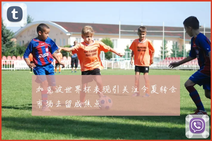 加克波世界杯表现引关注今夏转会市场去留成焦点